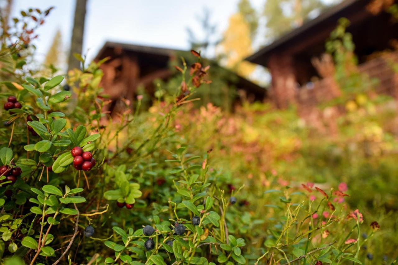 Lomalehto Cottages Ahvionniemi Extérieur photo
